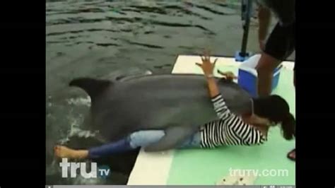 dolphin humping girl|Moment a woman is unexpectedly HUMPED by a dolphin